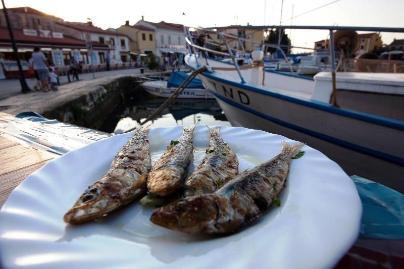 Apartments Jadranka Sain Novigrad Istria 部屋 写真