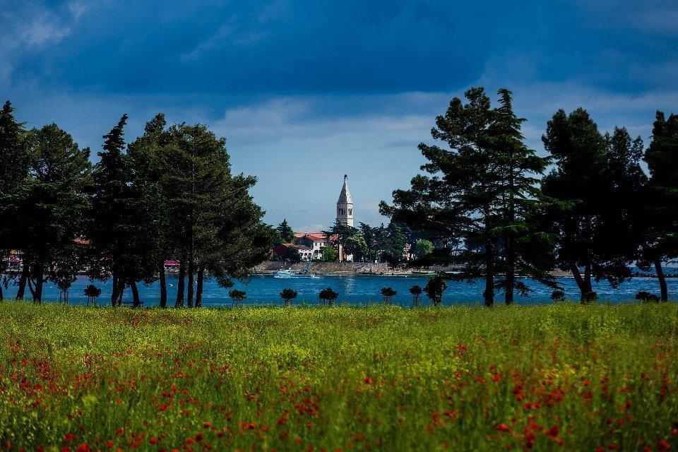 Apartments Jadranka Sain Novigrad Istria 部屋 写真